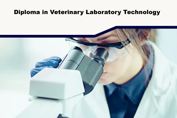 Diploma in Veterinary Laboratory Technology